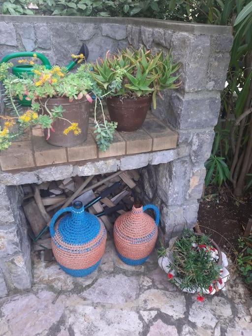 Apartman Modric Draga Mošćenička Draga Exteriör bild